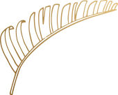 Pristine Smiles Icon